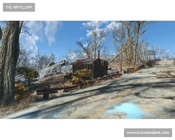 辐射4中文路径下运行mod攻略 辐射4中文路径下运行mod攻略